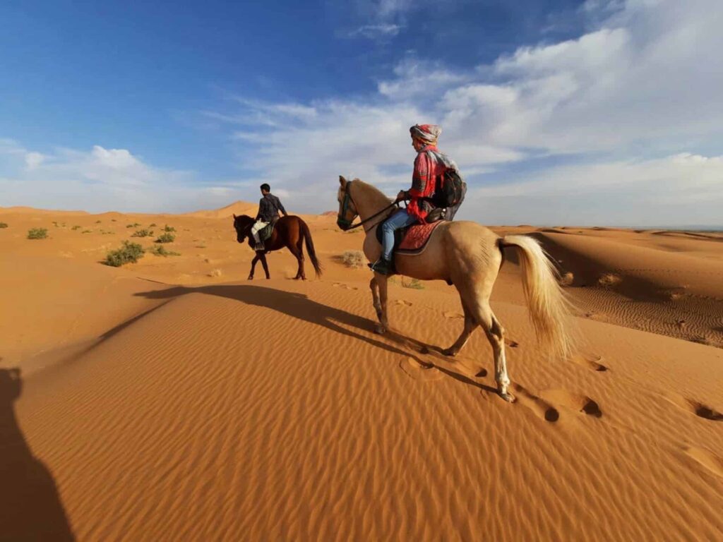 horse riding sahara